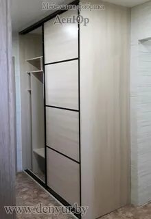 Цвет шкафа купе в прихожую цвета