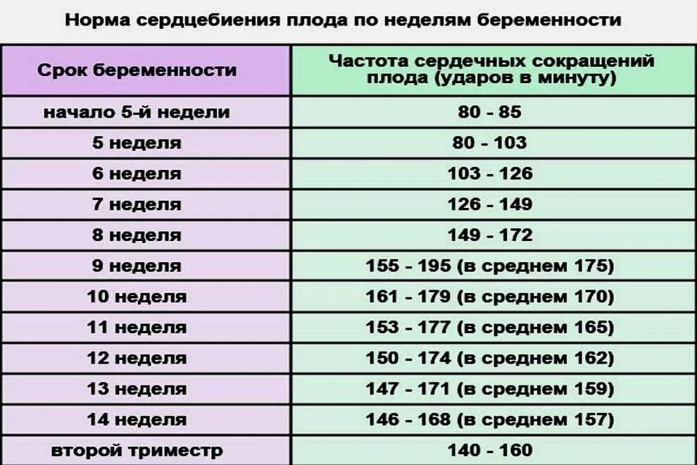 Сердцебиение в 13 недель