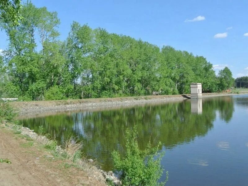 Патруши екатеринбург. Село Патруши Сысертский район. Село Патруши Свердловская. Чистые пруды Патруши. Пруд в с Патруши.