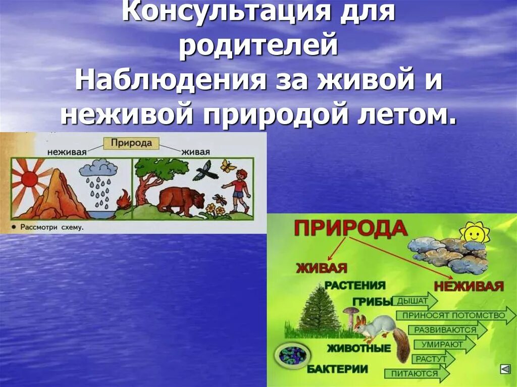 Чему учит общение с живой природой. Консультация для родителей Живая и неживая природа. Наблюдение за живой и неживой природой. Наблюдение в неживой природе. Окружающий мир наблюдение за живой природой летом.