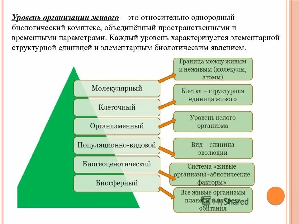 Последовательность усложнения организации. Уровни организации живого схема. уровни организации биология. структурные уровни организации жизни. уровни организации живого биология.
