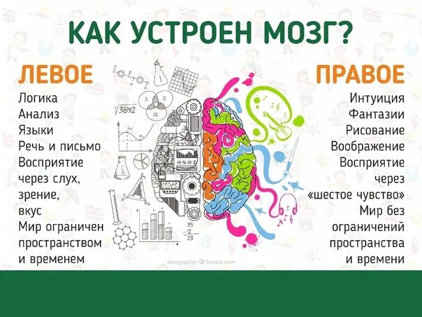 Как устроен год. Как устроен мозг. как устроен мозг человека психология. как устроен мозг человека для детей. как устроен наш мозг.