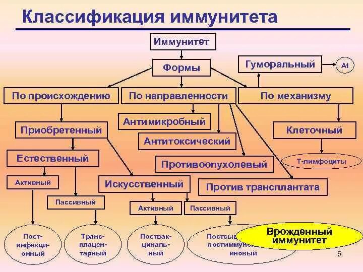 Иммунная составляющая. Классификация форм иммунитета. Схема по видам иммунитета. Схема классификации видов иммунитета. Формы иммунитета схема.