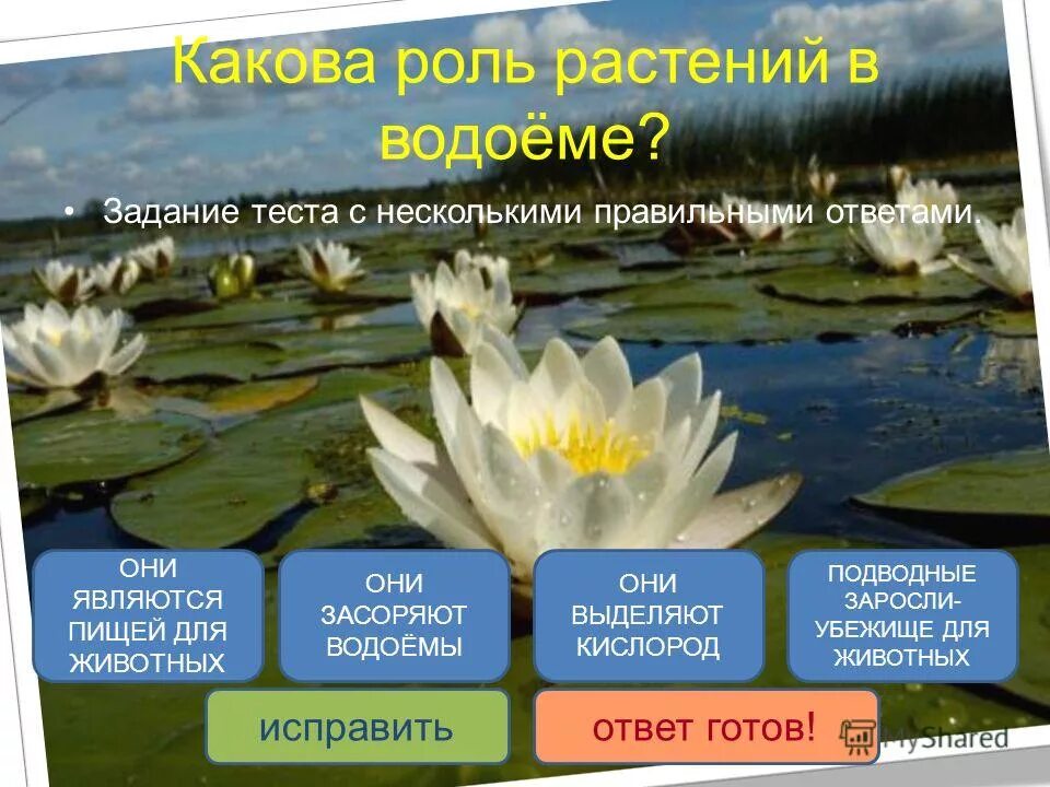 Тест по теме водоемы