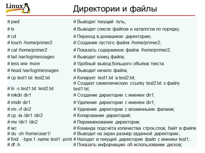 User txt