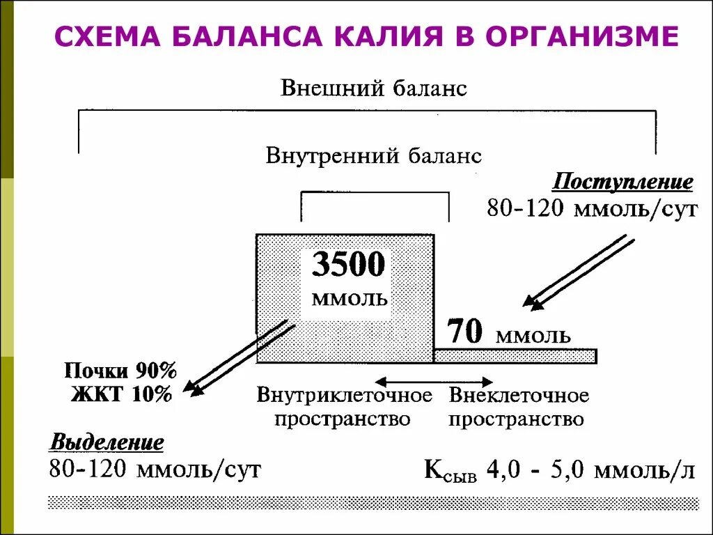 Калий в крови 1 2. Обмен калия и натрия в организме биохимия. Распределение калия в организме. Роль калия в организме биохимия. Обмен калия в организме.