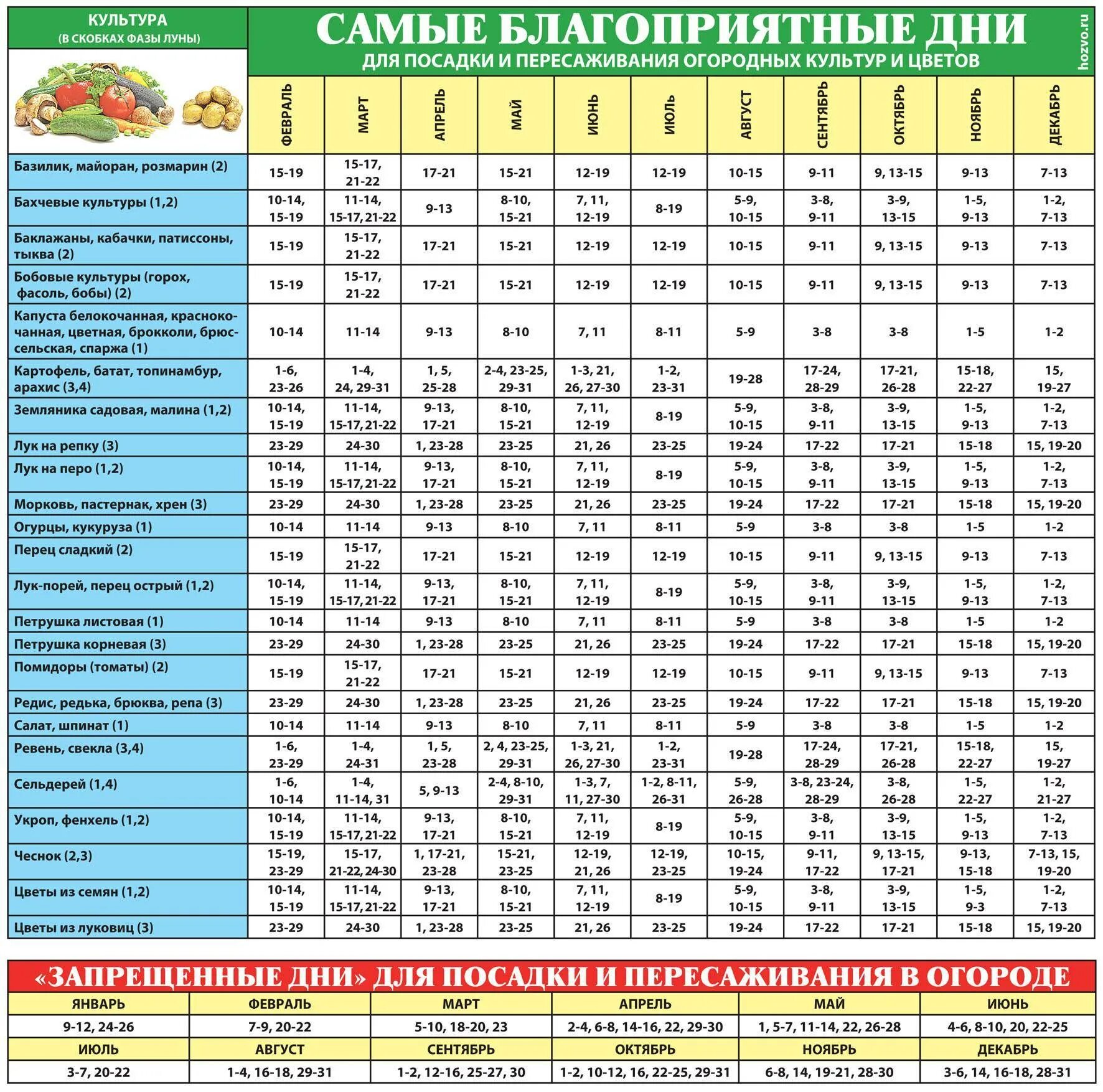 Благоприятные дни посадки огурцов в марте 2024г. Лунный календарь на май огородника и садовода 2021. календарь садовода лунный календарь 2021. благоприятныеидни для поспдки. благоприятные дни для посадки.