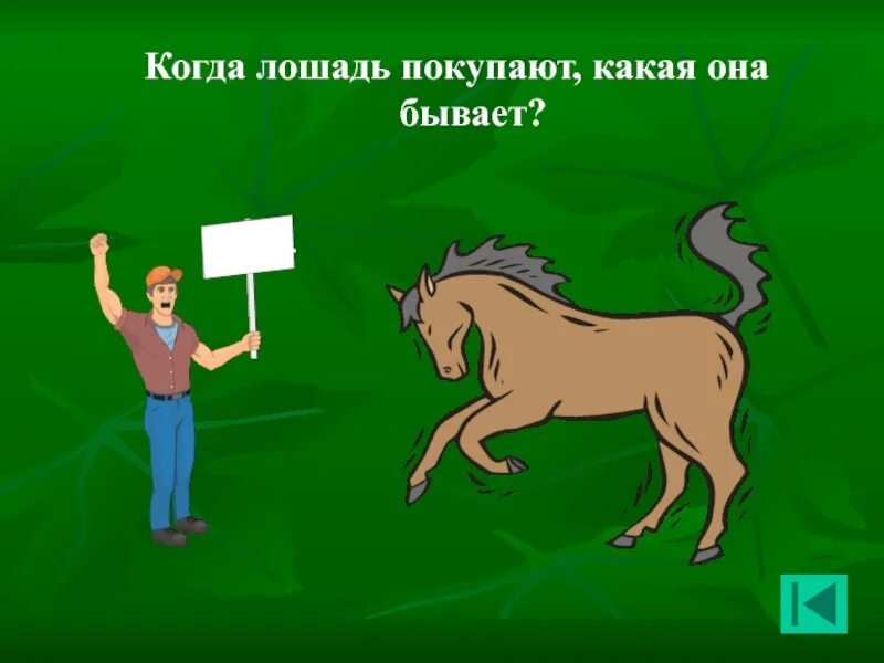 Когда лошадь покупают какая она бывает ответ. Что такое характеризующие эпитеты. Вопросы девушке. Какая она ответ. Когда покупают коня.