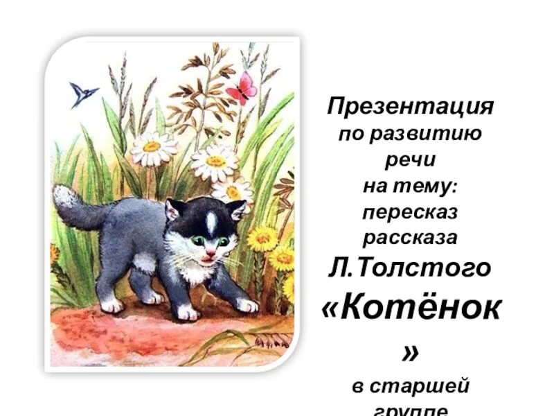 Котенок герой произведений. Рассказ котенок. Л Н толстой котенок. Лев Николаевич толстой котенок. Иллюстрация к рассказу котенок Толстого.