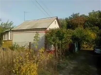 Сабуровка пензенская область. Авито саратовская область погода. Авито саратовская область погода. Авито саратовская область. Авито саратовская область лысогорский р н.