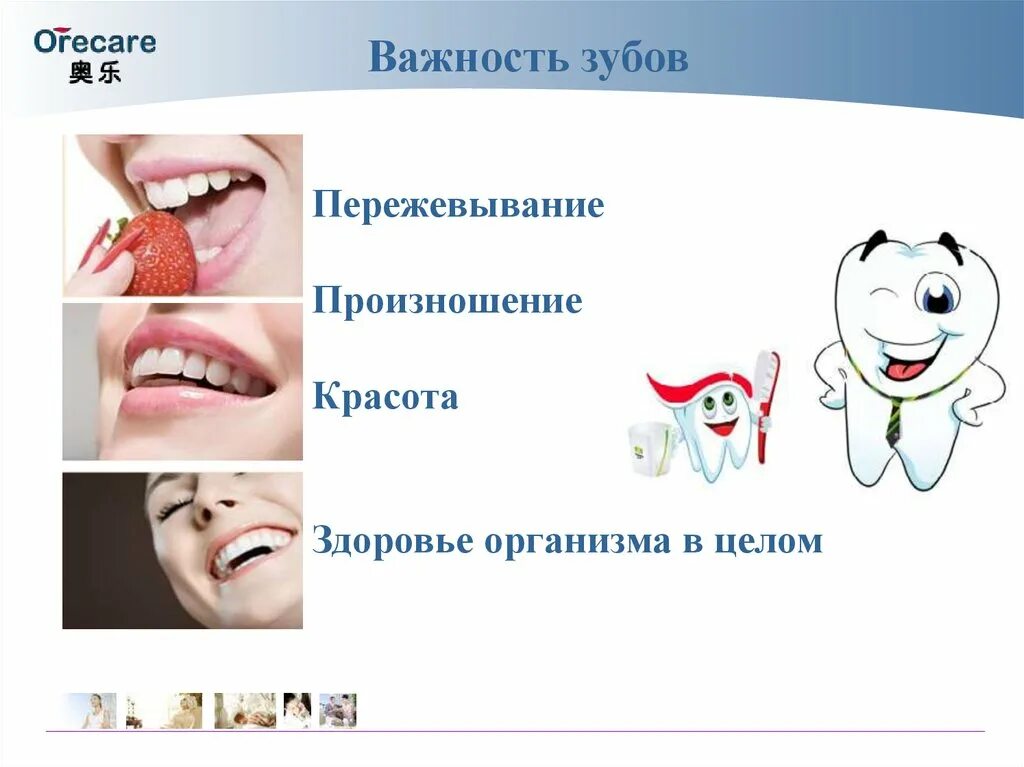 Почему зубы важны. Презентация на тему здоровые зубы. здоровье зубов презентация. здоровые зубы здоровый организм.