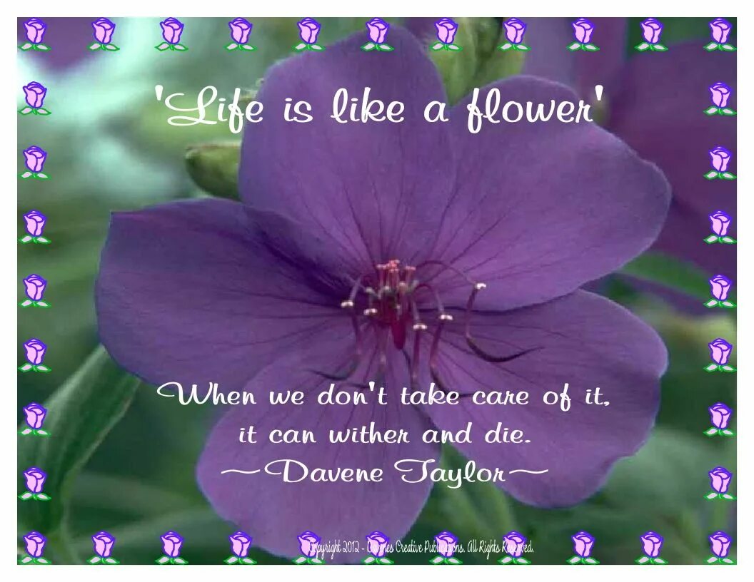 My Life цветы. Quotes about Flowers. Life is a beautiful Flower. About a Flowers. Are flowers of life