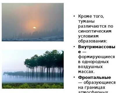 Туманы образующиеся за счет дыма лесных