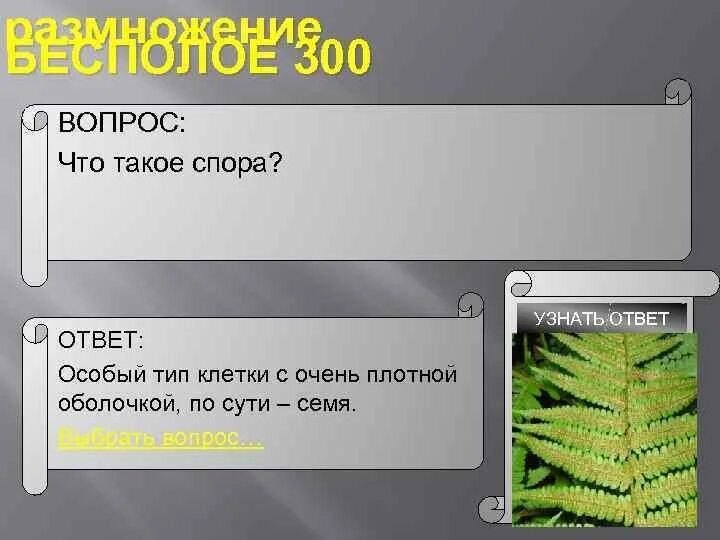 Роль ответов в споре. Споры это кратко. Спора это кратко. Что такое спора краткий ответ.