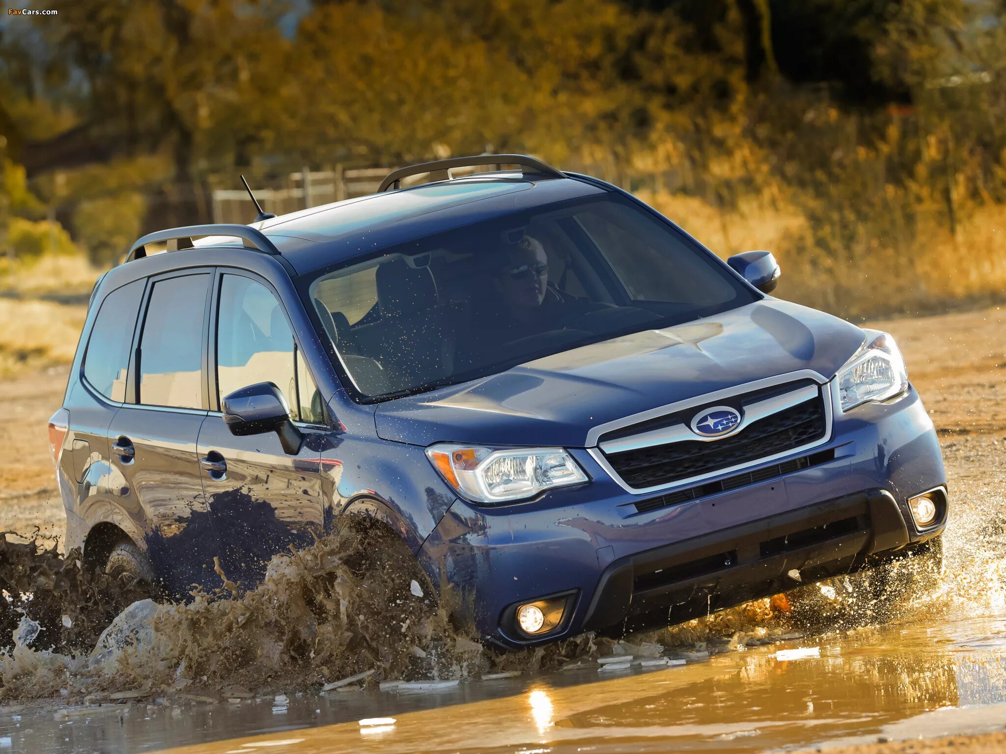 Субару Форестер 2014. Subaru Forester 4. Субару Форестер 2014 2.5. Субару Форестер 2012. Купить субару форестер 2014 года