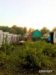Цмис солнечногорск