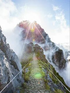 Горе ц
