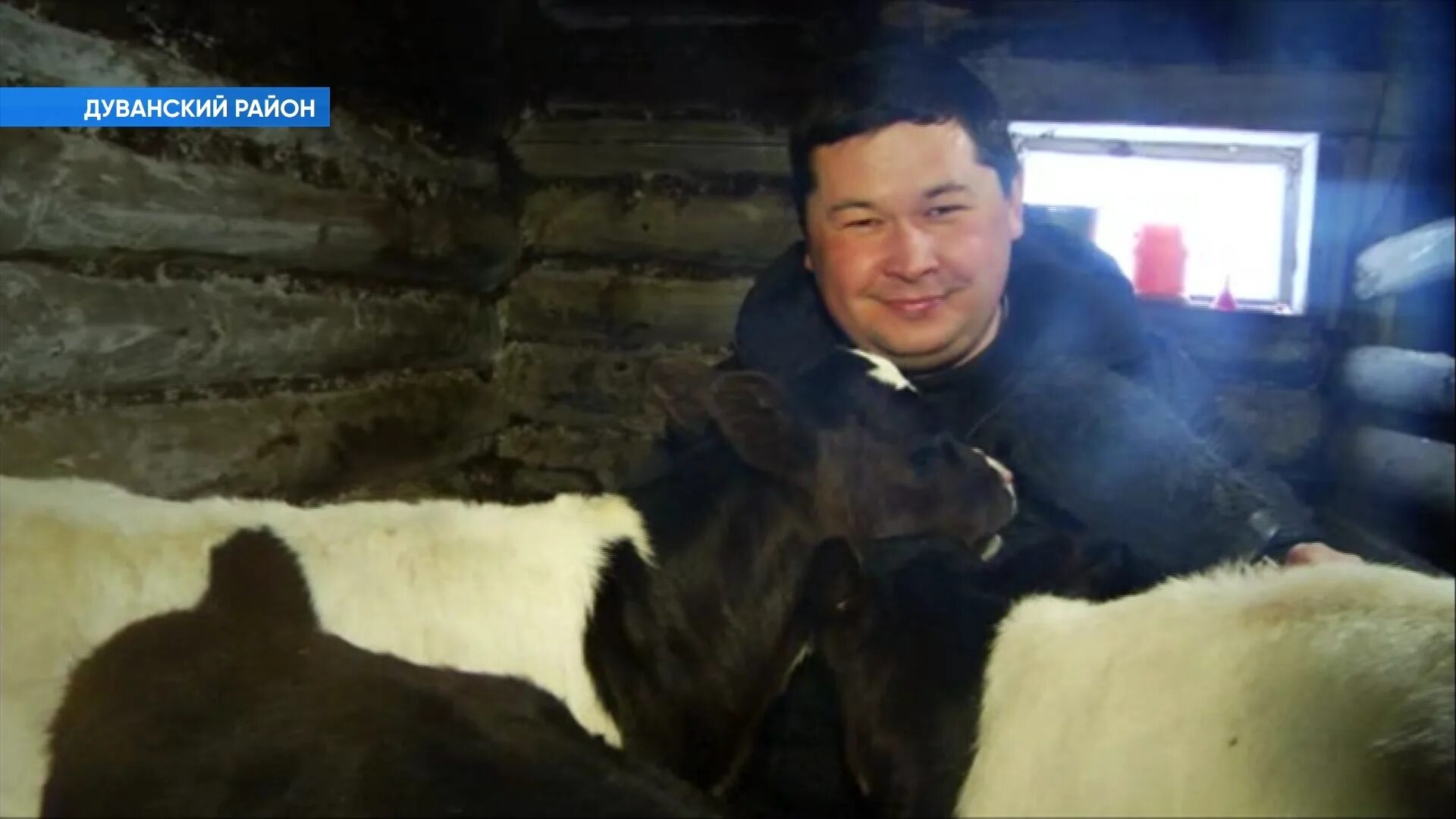 Корова родила человеческого ребенка. Корова родила человеческого ребенка. Корова родила человеческого ребенка. Корова родила человеческого ребенка. Корова родила человеческого ребенка.