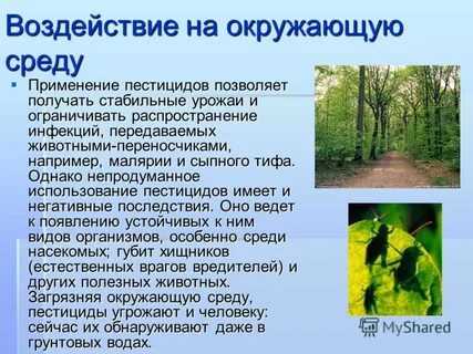 Окружающее собственно