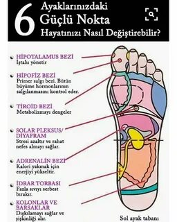 Feet guide