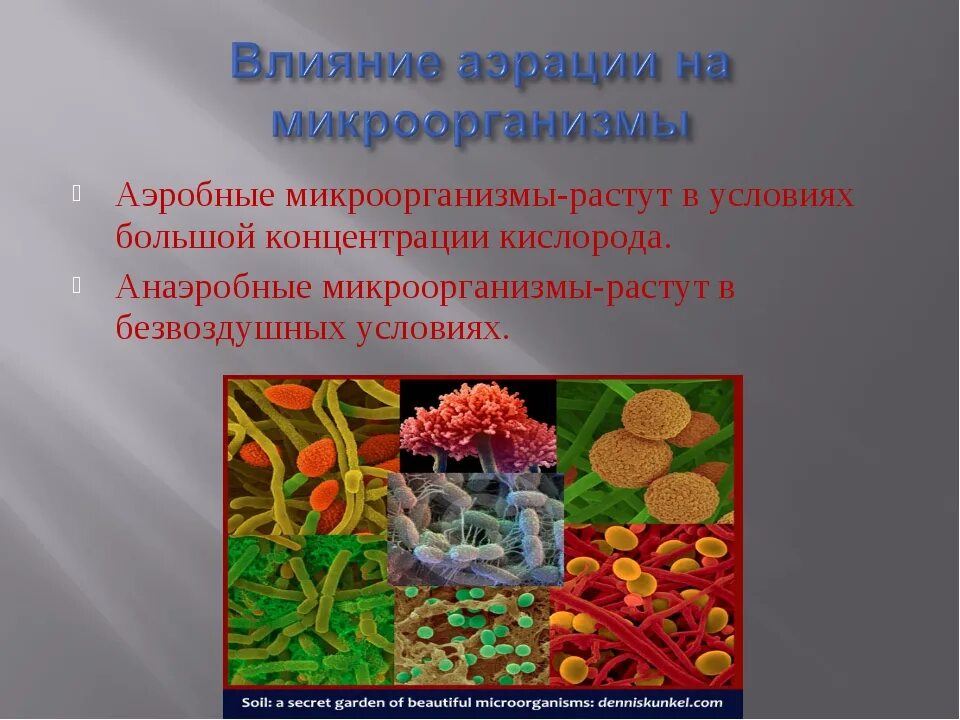 Какими способами можно задержать развитие микробов