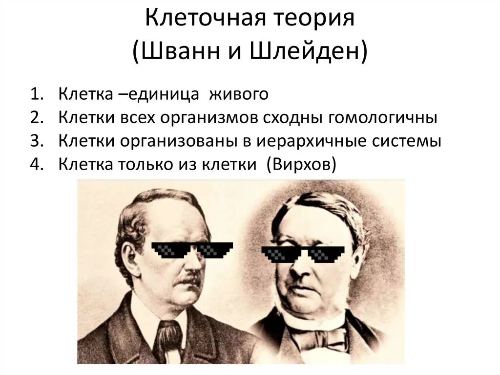 Появление клеточной теории шванна и шлейдена. Шлейден и шванн клеточная теория. клеточная теория шлэйден шван. шванн и шлейден теория. клеточная теория шванна и шлейдена рисунок.