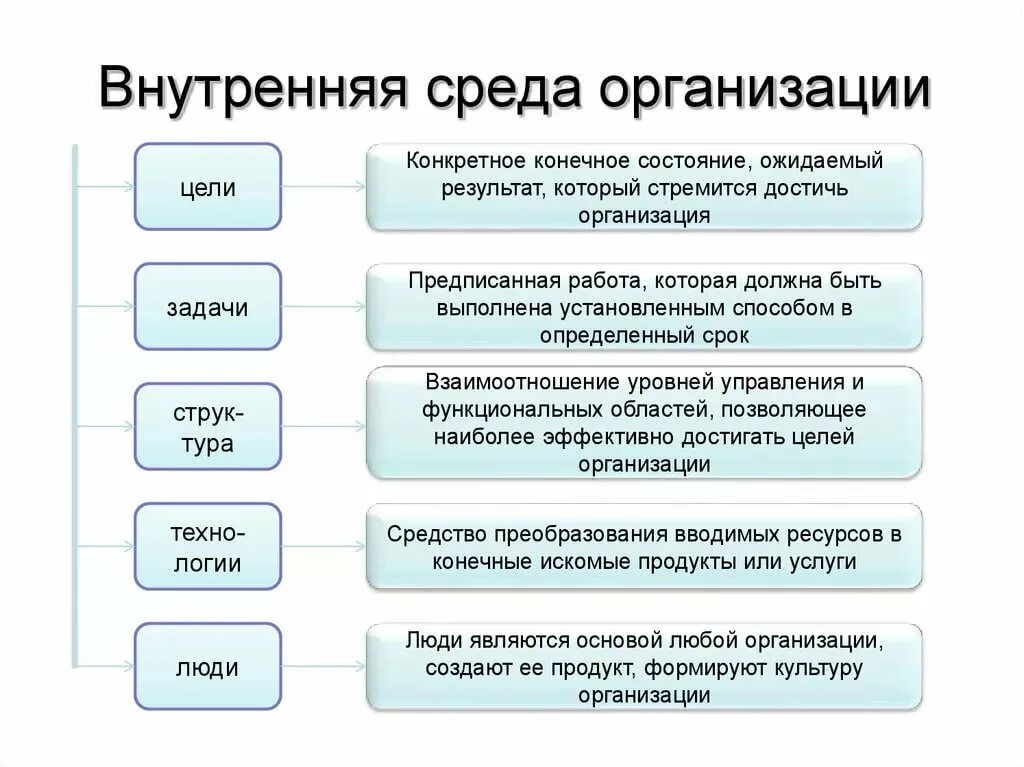 Внутренние компоненты организации