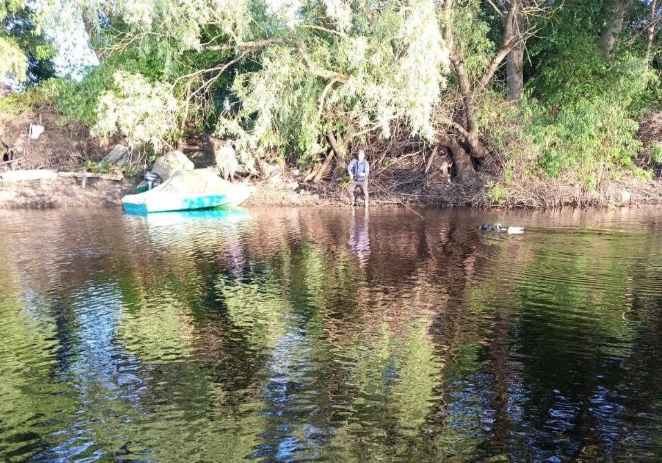 Доследственная проверка. Река порусья в старой руссе. Новгородская область утонули. Река веряжа новгородская область. Река шульга.