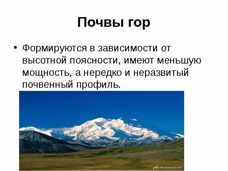 Горные почвы почвенный профиль. Горные лугово-степные почвы. Серые лесные почвы широколиственных лесов. Горные лугово-степные почвы. Почвенный профиль горных черноземов.