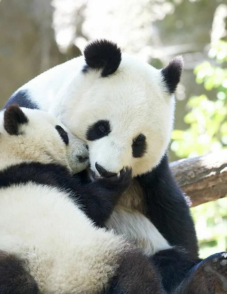 Pandas 3.0