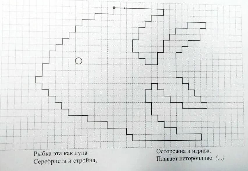 Графический диктант география 5 класс. Графический диктант география 5 класс. Графический диктант змейка для дошкольников. Диктант по клеточкам для детей. Графический диктант по сторонам горизонта.