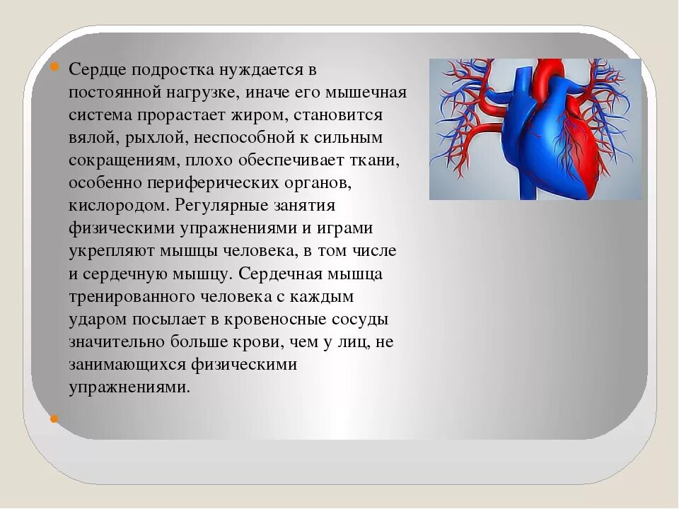 Физических нагрузок кровообращение. Упражнения для сердечно-сосудистой системы. Улучшение работы сердца. Упражнения для укрепления сердечной мышцы. Упражнение для улучшения сердечно сосудистой системы.