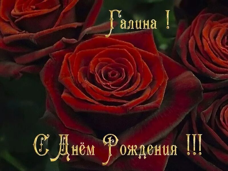 С днем рождения. Роздавлення с днем рождения галине. Поздравление галине. Пожелания с днём рождения галине. Поздравления с днём рождения женщине.