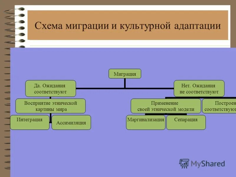 Интеграция и ассимиляция