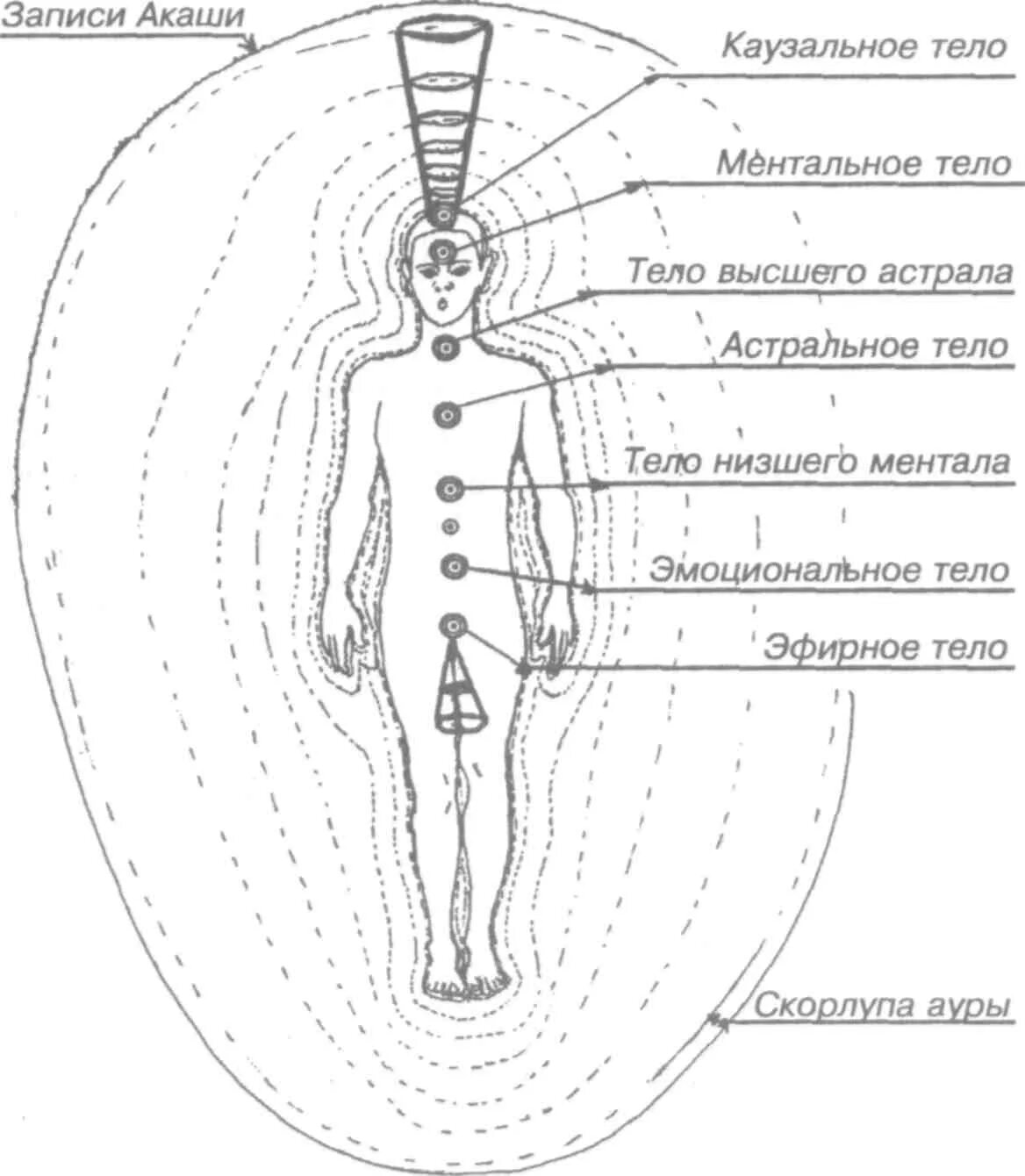 Эфирный это. Чакры астрального тела человека. Схема тонких тел человека. Чакры энергетические центры тонких тел. Аура человека астральное тело.