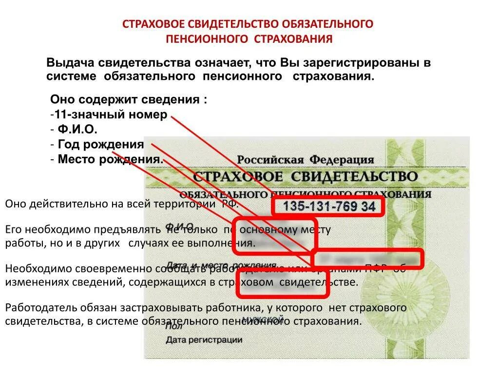 Выдача страховых свидетельств. Страховое свидетельство обязательного пенсионного страхования. Пенсионная страховка СНИЛС. СНИЛС это страховое свидетельство. Реквизиты СНИЛС.