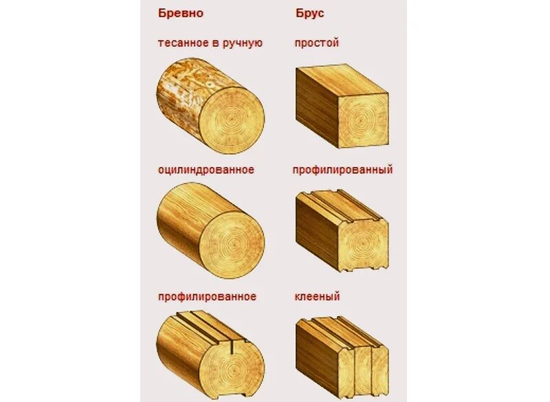Что значит бревно. Что значит бревно
