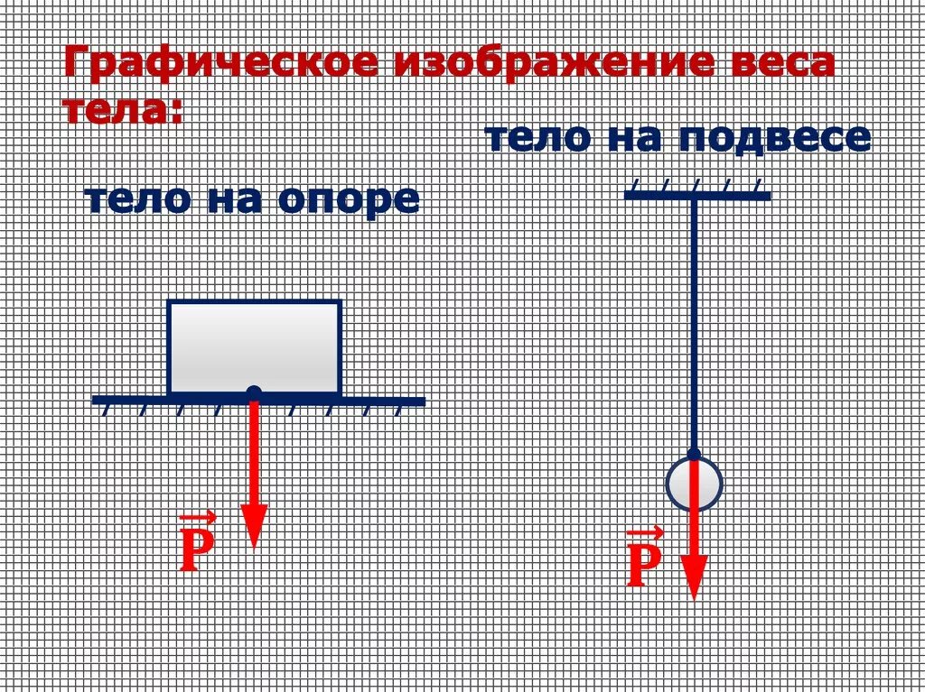 Сила веса тела рисунок. Сила сила тяжести вес тела физика 7 класс. Вес тела сила тяжести 7 класс. Масса и вес тела физика 7 класс. Вес тела изменение веса