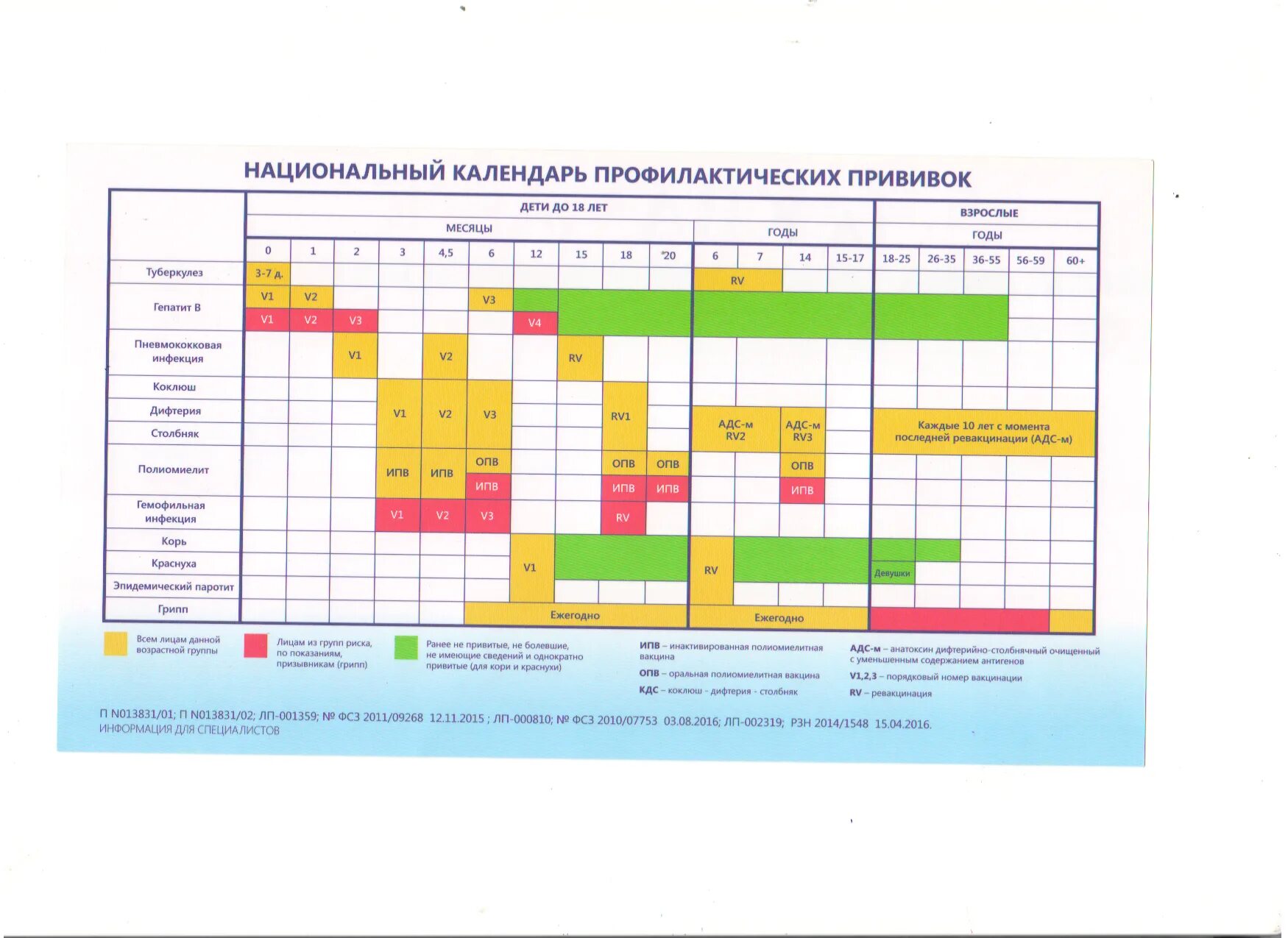Календарь прививок для детей в россии 2024. График прививок для детей до года в России таблица 2022. Календарь прививок 2021 для детей до года в России таблица. Календарь прививок для детей 2022 в России таблица. График прививок для детей до года 2022.