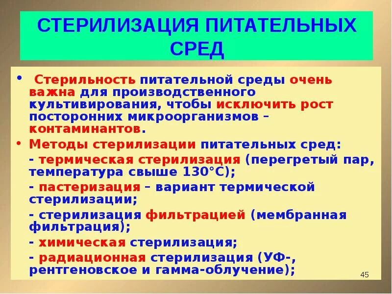 Разлив питательных сред в чашки петри. Способы приготовления питательных сред. Стерильная питательная среда. Среды микробиология. Стерильная питательная среда.