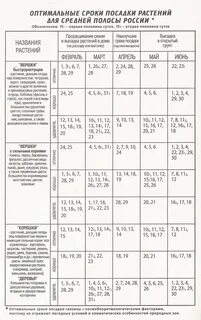 Сроки посадки семян в апреле