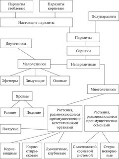 Биологические группы сорняков