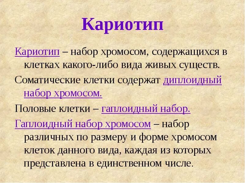 В каких клетках содержится гаплоидный набор хромосом. Кариотип это гаплоидный набор. гаплоидный набор хромосом кариотип. гаплоидный и диплоидный набор хромосом. половые клетки содержат гаплоидный набор хромосом.
