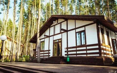 Донской лес липецк
