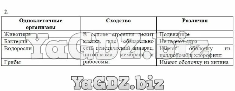 Моя лаборатория 101 страница 5 класс биология. Сравните одноклеточных животных с бактериями. Сходства и различия одноклеточных организмов. Таблица сходства и различия одноклеточных организмов. Сходства и различия одноклеточных животных с бактериями.