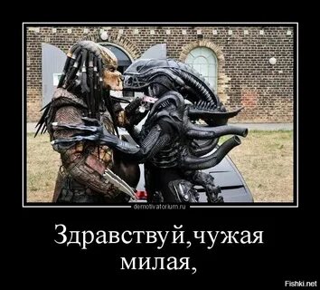 Буду тебе чужой 29
