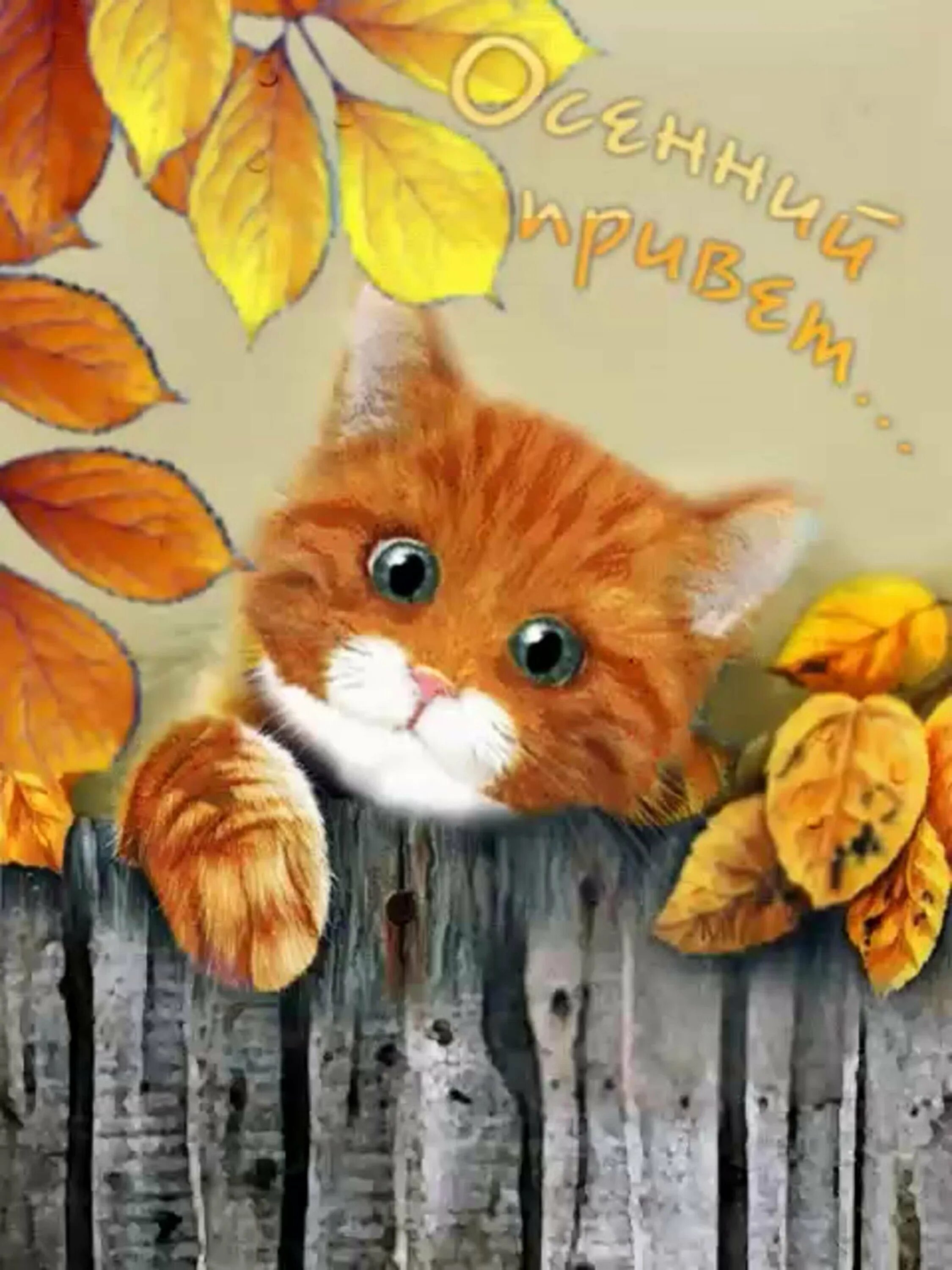 Осенние открытки. Осенний привет. Открытки с добрым утром осенние. Чудесной осени