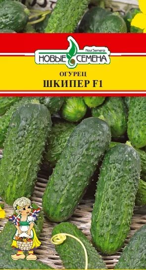 Яркие огурцы. Огурцы шкипер f1 седек. Огурец шкипер. Огурец шкипер. Огурец шкипер.