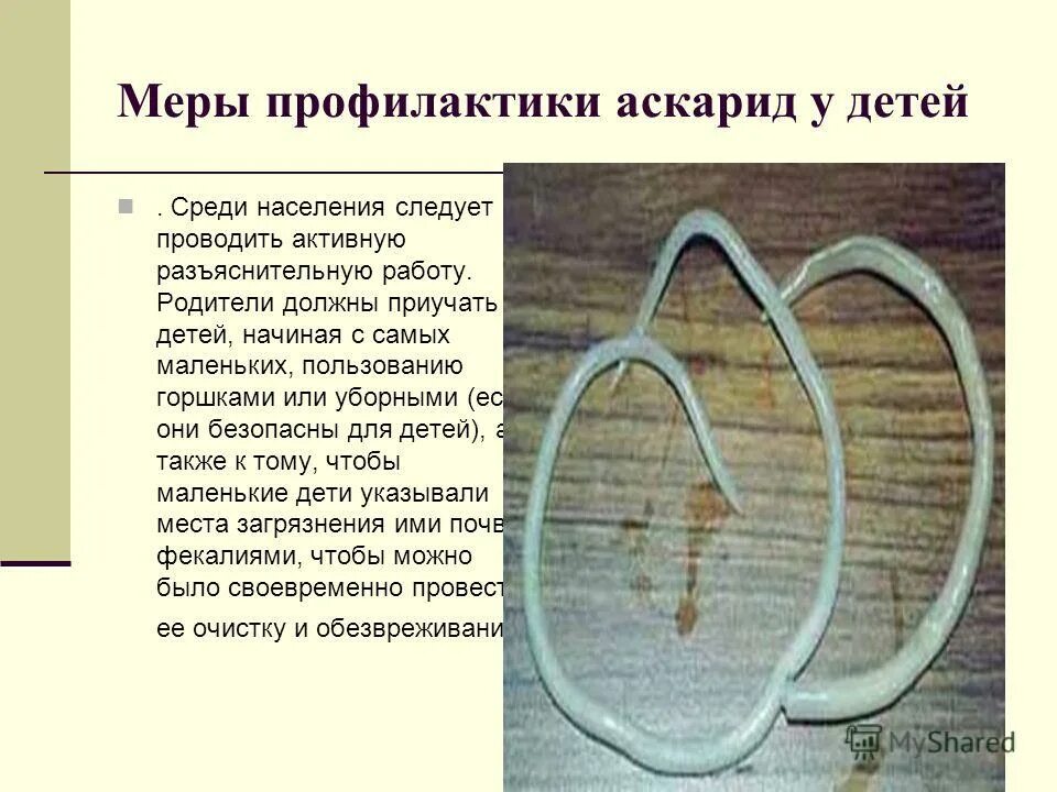 Симптомы аскаридоза у детей 11 лет. Аскаридоз кожные проявления. Как лечить аскариды у детей. Характерные клинические проявления аскаридоза. Препараты при аскаридозе.