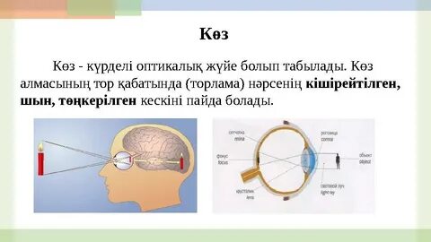 Оргазм порно жинағы